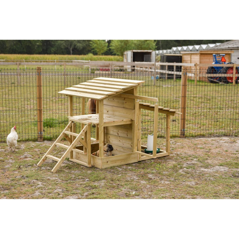 Holz-Hühnerstall mit Dach, Treppe und Wassertränke in eingezäuntem Hofbereich; weisse Henne links, Hund im Stallinneren; ländliche Farmlandschaft mit Scheunen im Hintergrund.