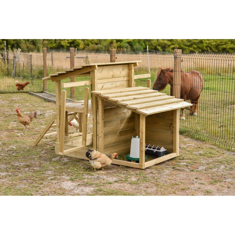 Holz-Hühnerstall mit Rampe und Dach in einem offenen Hühnergehege; Wasser- und Futterbehälter sichtbar, Hühner laufen um den Stall, Pferd hinter dem Drahtzaun im Hintergrund.