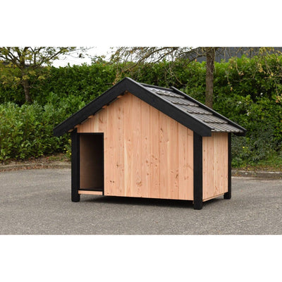 Holz-Hundehütte mit schwarzer Umrandung und Satteldach, offener Eingang, steht auf einer asphaltieren Fläche vor grünem Gebüsch.