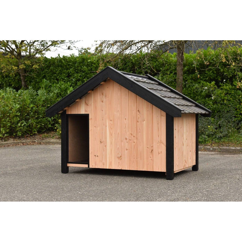 Holz-Hundehütte mit schwarzer Umrandung und Satteldach, offener Eingang, steht auf einer asphaltieren Fläche vor grünem Gebüsch.