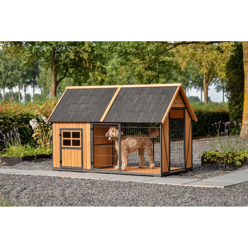 Holz-Hundehütte mit Gitterfront im Garten; ein Hund steht im Innenbereich, Kiesweg und grüne Bäume im Hintergrund.