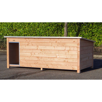 Lange Hundehütte aus hellem Holz mit offenem Eingang links, draussen auf Asphalt vor einer grünen Hecke.