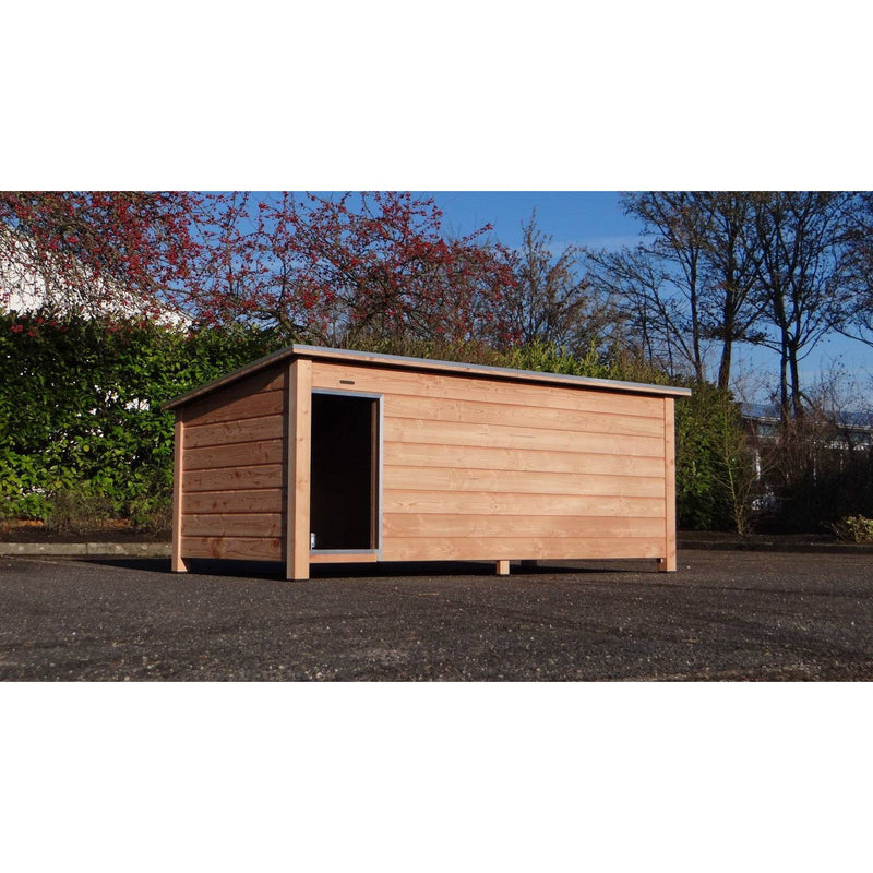 Holz-Gartenhaus aus naturbelassenem Holz mit flachem Dach, linksseitig geöffnete Tür, steht auf Asphalt; im Hintergrund Bäume mit roten Blüten und blauem Himmel.