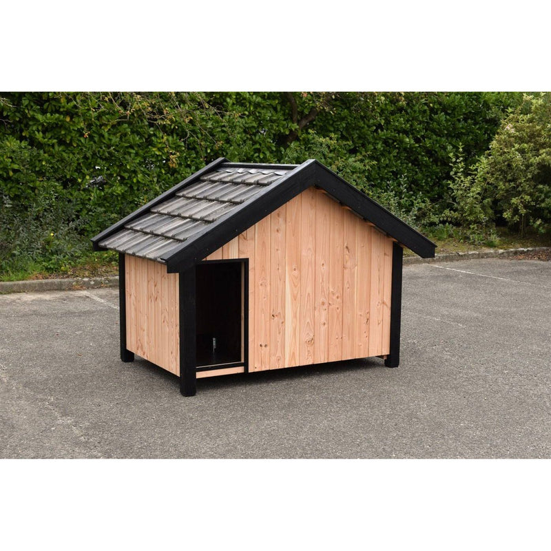 Kleines Hundehäuschen aus hellem Holz mit schwarzem Dachrahmen, offener Eingang, steht auf einer Asphaltfläche vor dichter Grünhecke.