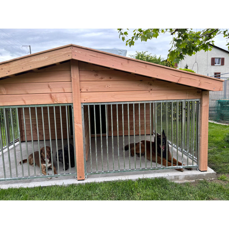Holz-Hundezwinger mit Metallstäben im Garten; drei Hunde ruhen im Innenbereich, links zwei kleinere Hunde, rechts ein schwarzer Hund; Haus im Hintergrund.