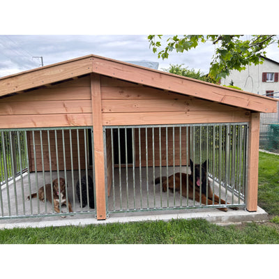 Holz-Hundezwinger mit vertikalen Metallstäben im Garten; drei Hunde ruhen darin – links braun-weisser Hund, mittig schwarzer Hund, rechts grosser braun-schwarzer Hund mit ausgestreckter Zunge.