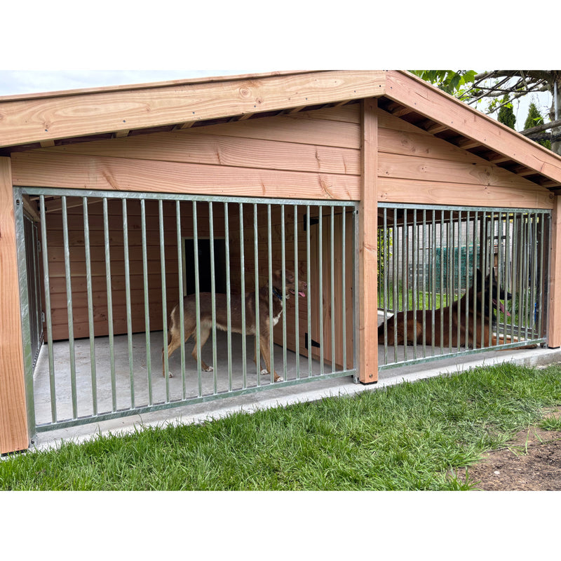 Holz-Hundezwinger mit Metallstäben; zwei Hunde – der eine braun-weiss stehend, der andere braun-schwarz liegend – im Garten.