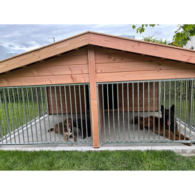 Holz-Hundehütte mit zwei Kammern und Metallgitter; zwei Hunde ruhen darin – links ein kleiner braun-weisser Hund, rechts ein grosser schwarz-brauner Hund mit herausgestreckter Zunge; Gras davor.