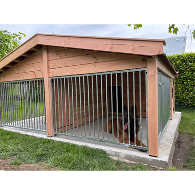 Aussenansicht eines Holz-Hundezwingers mit Metallstäben; ein Deutscher Schäferhund liegt im Zwinger auf dem Betonboden, Gras und eine Hecke im Hintergrund.