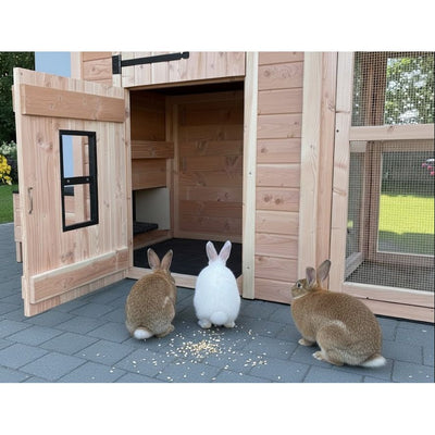 Kaninchenstall Sem mit Auslauf