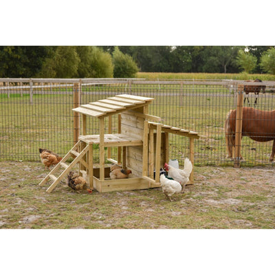 Holz-Hühnerstall mit Rampe und Dach, umgeben von Drahtzaun; mehrere Hühner laufen davor, Hintergrund-Pferd auf der Weide.
