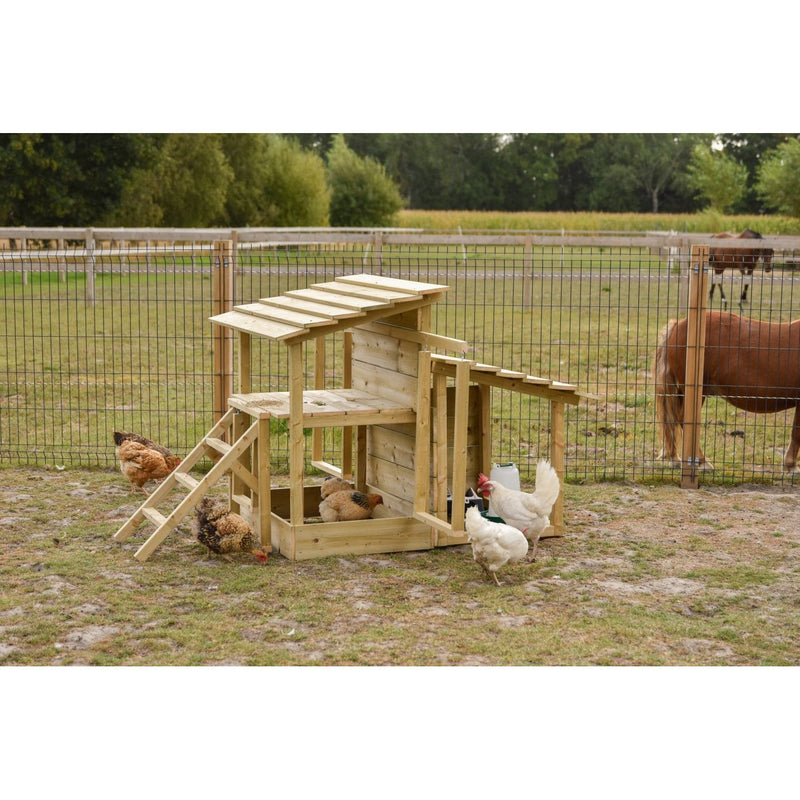 Holz-Hühnerstall mit Rampe und Dach, umgeben von Drahtzaun; mehrere Hühner laufen davor, Hintergrund-Pferd auf der Weide.