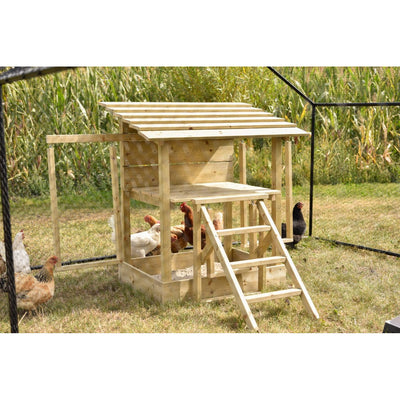 Holz-Hühnerstall mit Leiter und Latten-Dach, umgeben von einem Drahtzaun in einem Garten; mehrere Hühner unterschiedlicher Farben stehen drumherum und picken im Gras.