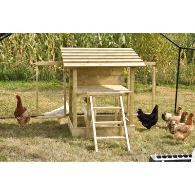 Holz-Hühnerstall mit Treppe im Garten, umgeben von mehreren Hühnern in Braun, Weiss und Schwarz auf grasigem Boden.