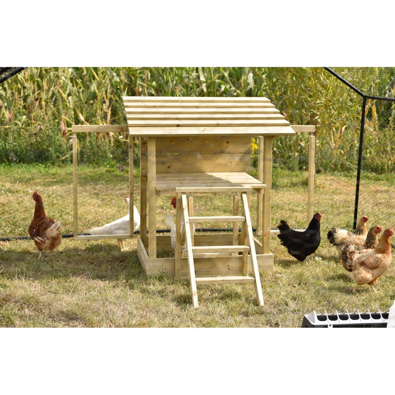 Holz-Hühnerstall mit Treppe im Garten, umgeben von mehreren Hühnern in Braun, Weiss und Schwarz auf grasigem Boden.