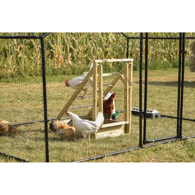 Mehrere Hühner im Freigehege um ein selbstgebautes Holz-Hühnerhaus mit Treppe, eingebettet in einen Drahtgitterzaun auf grünem Gras.