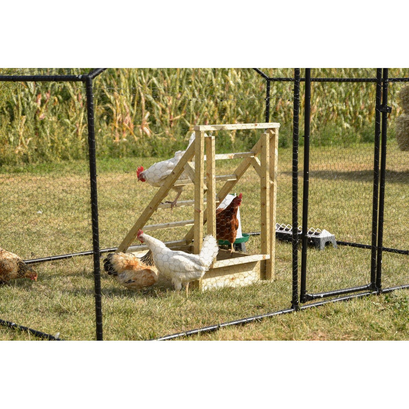 Mehrere Hühner im Freigehege um ein selbstgebautes Holz-Hühnerhaus mit Treppe, eingebettet in einen Drahtgitterzaun auf grünem Gras.