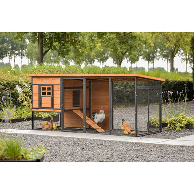 Grosser Hühnerstall aus Holz und Metall mit Drahtgehege im Garten; integrierter Nistkasten links, Rampe im Innenbereich; mehrere Hühner und ein Hahn im Gehege vor Kiesweg und Gartenpflanzen.