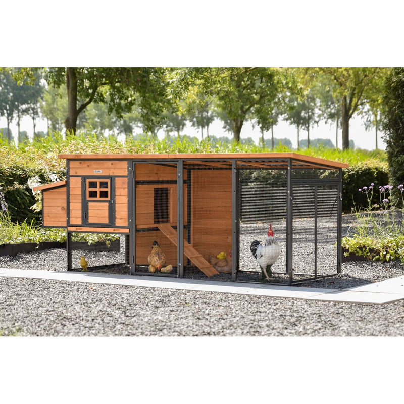 Holz-Hühnerstall mit Drahtgehege in Gartenumgebung; Innenbereich mit Rampe und Fenster; mehrere Hühner, darunter Hahn, im Auslauf auf Kiesuntergrund.