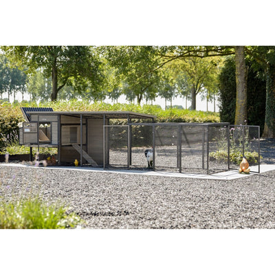 Moderne Hühnerhütte mit freiem Auslauf aus Metallgitter, Kiesboden und umlaufendem Zaun; mehrere Hühner im Gehege in einem gepflegten Garten mit Bäumen im Hintergrund.