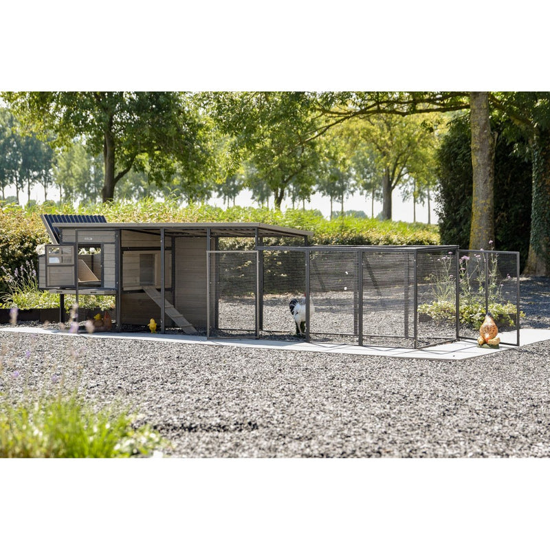 Moderne Hühnerhütte mit freiem Auslauf aus Metallgitter, Kiesboden und umlaufendem Zaun; mehrere Hühner im Gehege in einem gepflegten Garten mit Bäumen im Hintergrund.