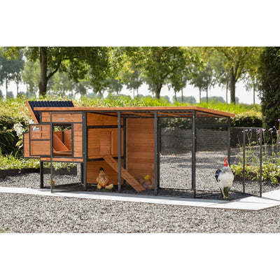 Holz-Hühnerstall mit Drahtzaun-Laufstall im Garten; geöffnetes Tor, Leiter und Innenbereiche; mehrere Hühner stehen vor dem Stall auf Kiesboden mit grünen Bäumen im Hintergrund.