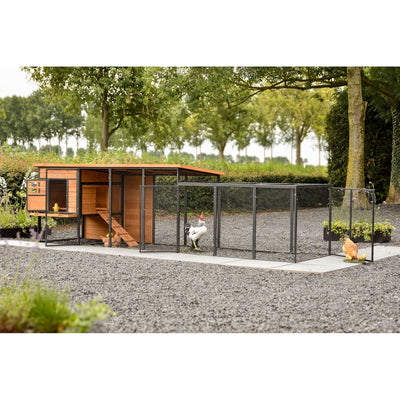 Holz-Hühnerstall mit orangefarbenem Dach und Drahtzaun-Gehege im Garten; Hühner im Freilauf neben dem Stall, umgeben von Bäumen.