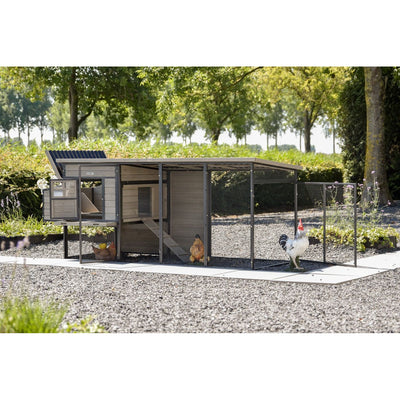 Moderner Hühnerstall mit Drahtgehege im Garten; Huhn und Hahn vor dem Auslauf, Holzrampe ins Gehege, Kiesboden und grüne Bäume im Hintergrund.