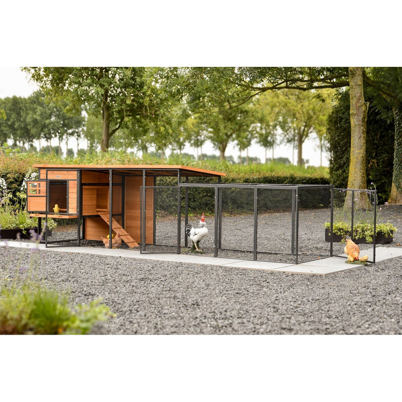 Holz-Hühnerstall mit orangefarbenem Dach und Drahtzaun-Gehege im Garten; Hühner im Freilauf neben dem Stall, umgeben von Bäumen.