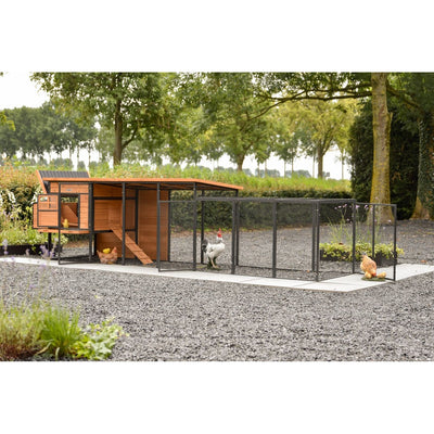 Holz-Hühnerstall mit schwarzem Metallzaun-Gehege; mehrere Hühner und ein Hahn auf Kiesweg in einer Gartenlandschaft mit Bäumen.