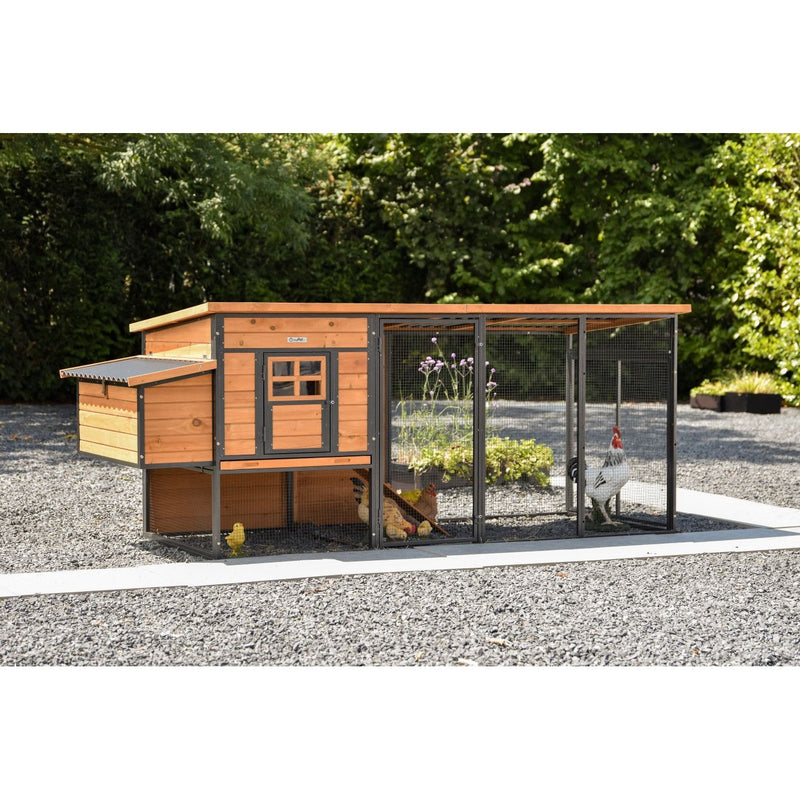 Holz-Hühnerstall mit Metallrahmen und Drahtgitter-Auslauf, Hühner im Freilauf auf Kiesboden vor grünem Garten