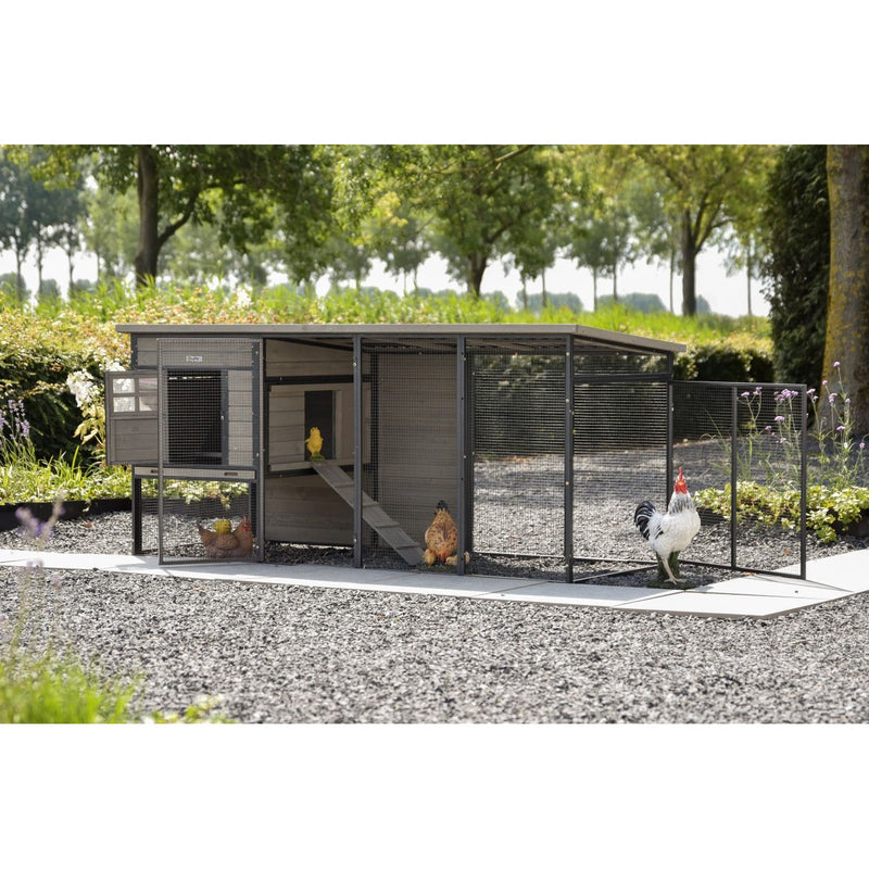 Hühnerstall aus Metall mit Drahtgitter im Garten, Innenbereich mit Rampe, mehrere Hühner und ein Hahn im Auslauf auf Kiesboden