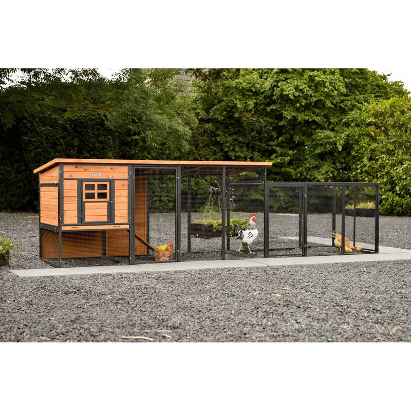 Holz-Hühnerstall mit schwarzem Metallrahmen und Drahtgitter-Laufstall, mehrere Hühner im Auslauf, auf Kiesboden vor grüner Hecke.