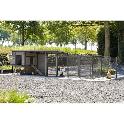 Moderne Hühnerställe mit Draht-Laufgehege auf Kiesboden, umgeben von Bäumen; ein Hahn mit rotem Kamm steht im Gehege.