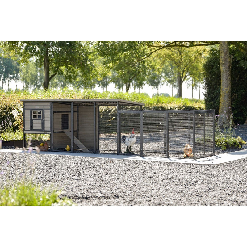 Aussenansicht eines Hühnerstalls mit Drahtgehegen auf Kiesboden; Hahn und Henne im Auslauf, links der Stall mit Fenster, Hintergrund mit Bäumen.