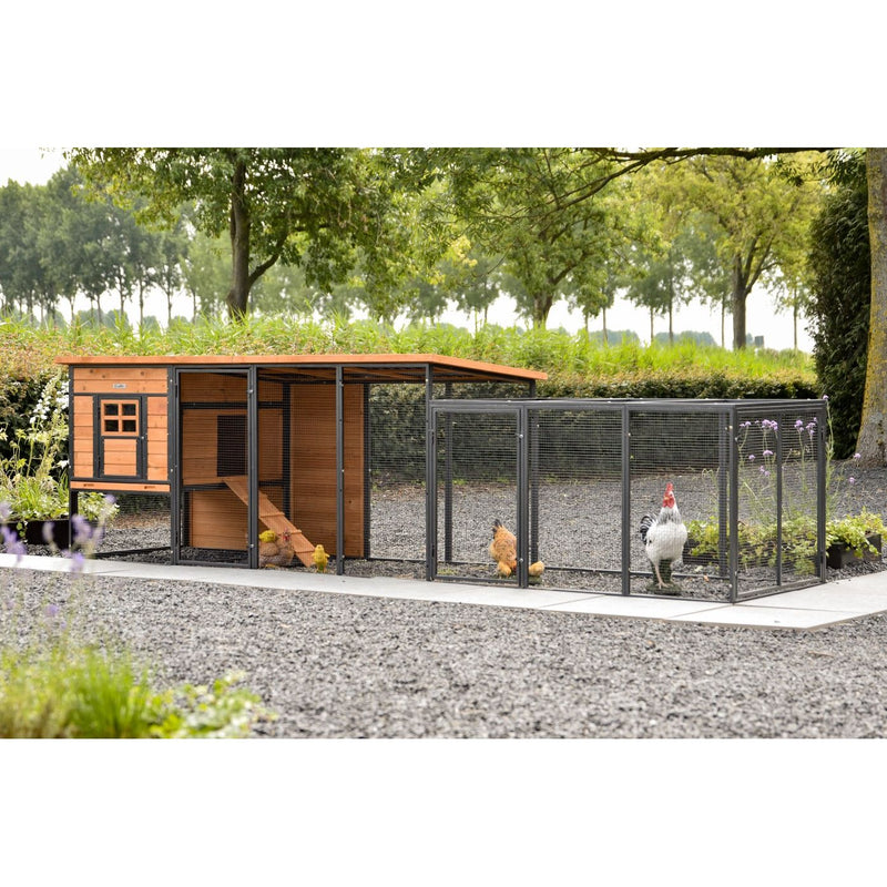 Hühnerstall aus Holz mit angrenzendem Metallgehege im Garten; Hahn und zwei Hühner erkunden den Auslauf vor Bäumen.