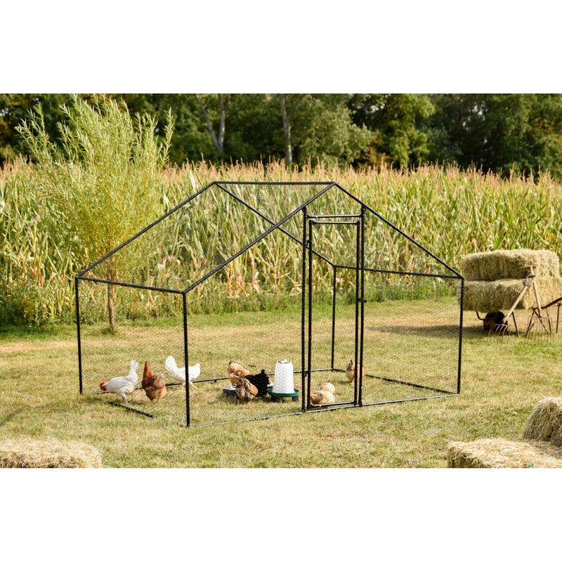 Grosses Metallrahmen-Hühnergehege aus Drahtgeflecht auf einer Wiese, mehrere Hühner darin; Maisfeld im Hintergrund, neben gestapeltem Heu.