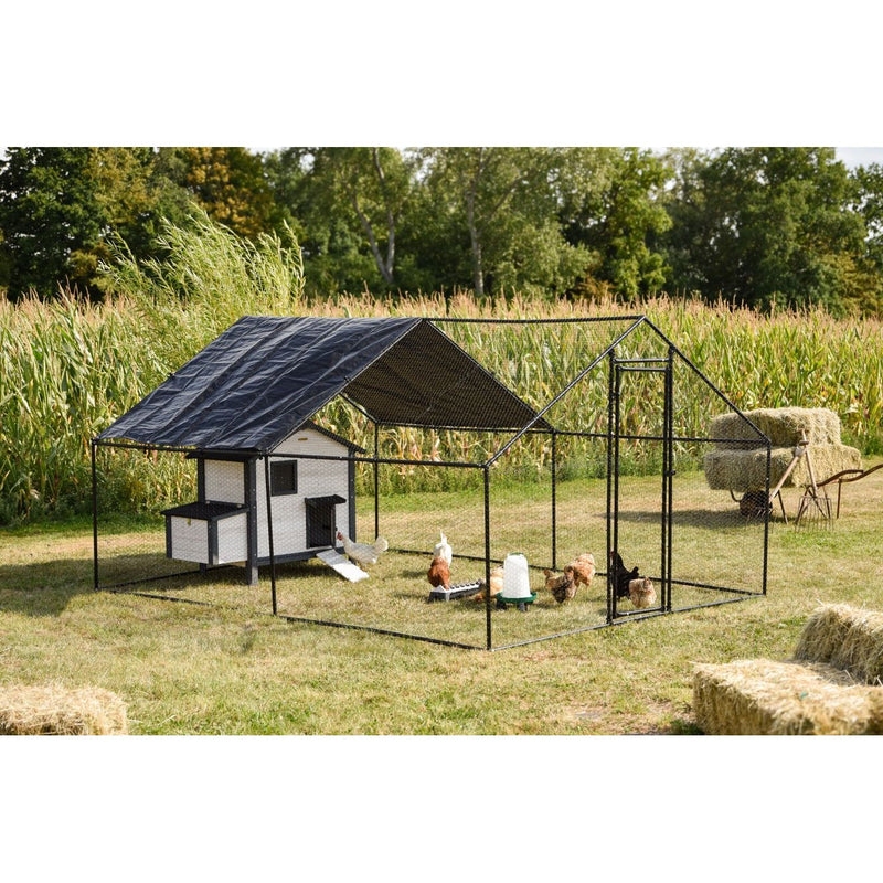 Hühnerstall mit Drahtzaun-Laufgehege und schwarzem Satteldach auf einer Wiese; mehrere Hühner im Gehege, daneben Strohballen, dahinter ein Maisfeld und Bäume.