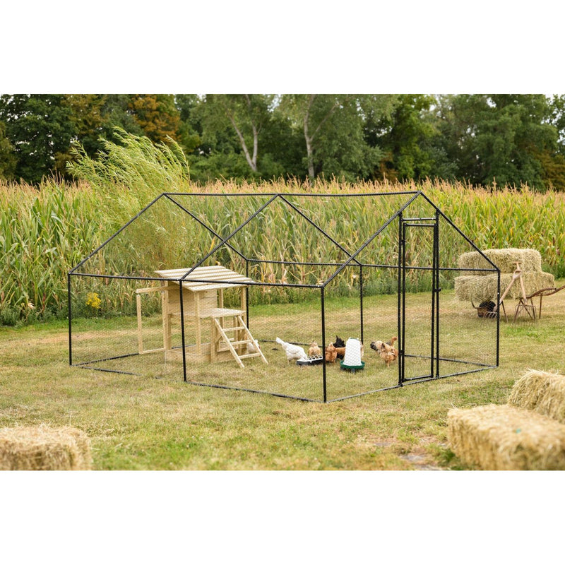 Offenes Hühnergehege aus schwarzem Metallrahmen mit Holzhäuschen und Leiter, Hühnern im Gehege, auf einer Wiese neben einem Maisfeld mit Heuballen im Hintergrund.