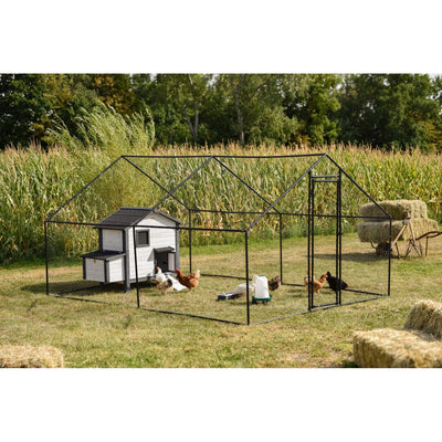 Aussen-Geflügelgehege aus schwarzem Metallrahmen mit weissem Hühnerstall, Hühnern, Wassertränke und Heuballen; Maisfeld im Hintergrund.