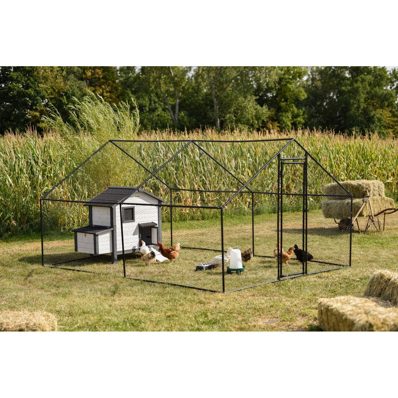 Aussen-Geflügelgehege aus schwarzem Metallrahmen mit weissem Hühnerstall, Hühnern, Wassertränke und Heuballen; Maisfeld im Hintergrund.