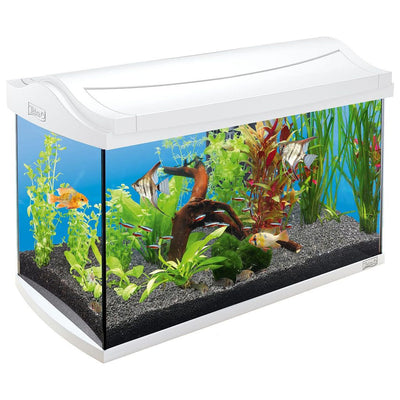 AquaArt Aquarium-Set LED Discover Line 60l, weiss