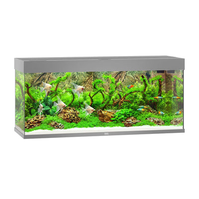 Aquarium Rio 240, 121x41x55cm, grau