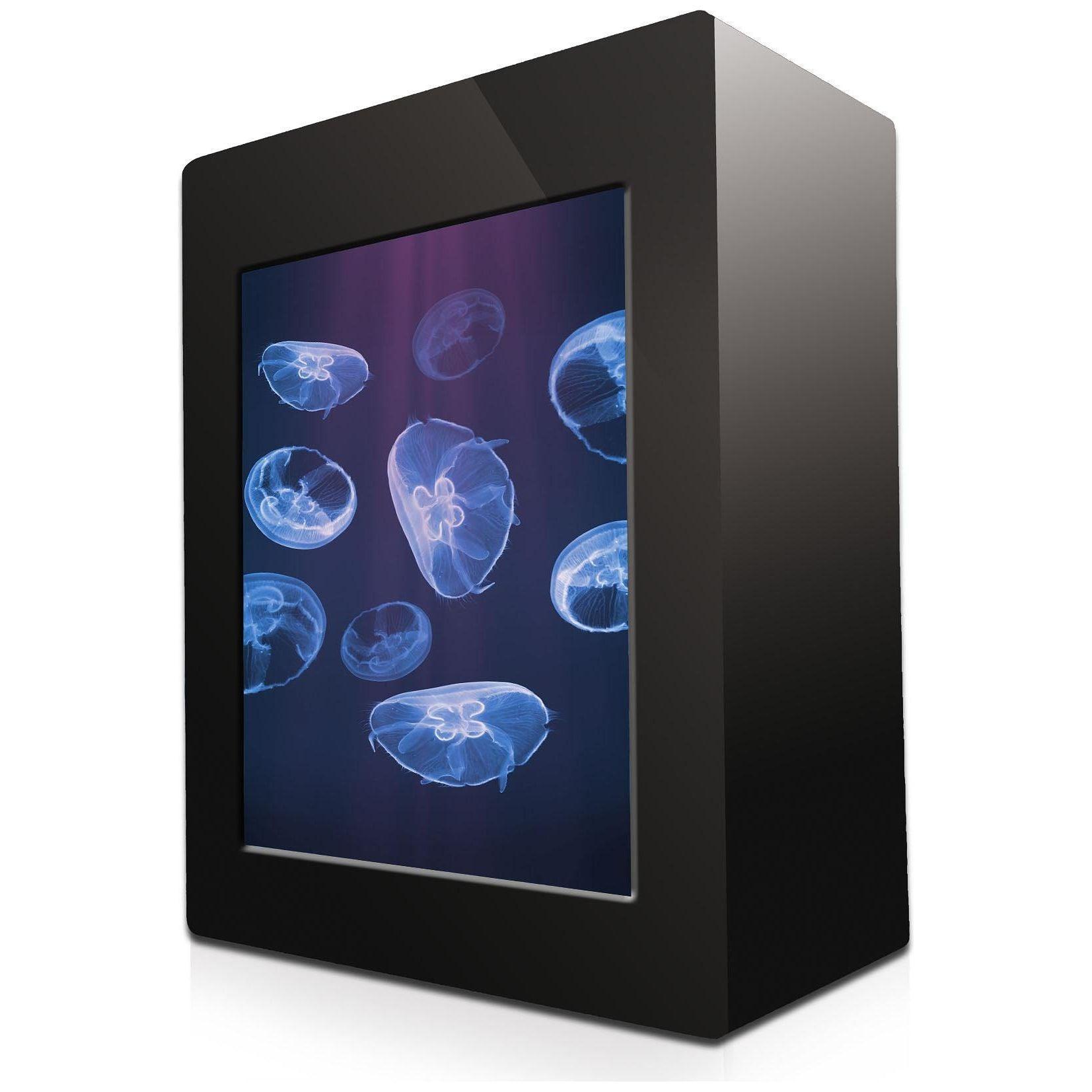 Amazon's jellyfish aquarium circular current, LED light