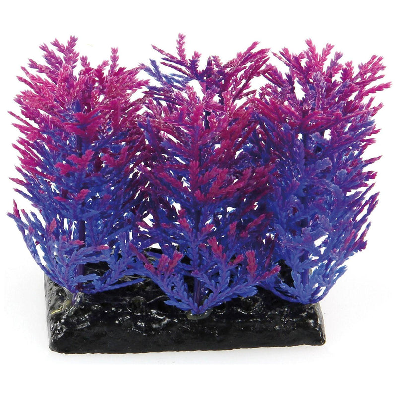 Fantasy Plant PP violett-blau