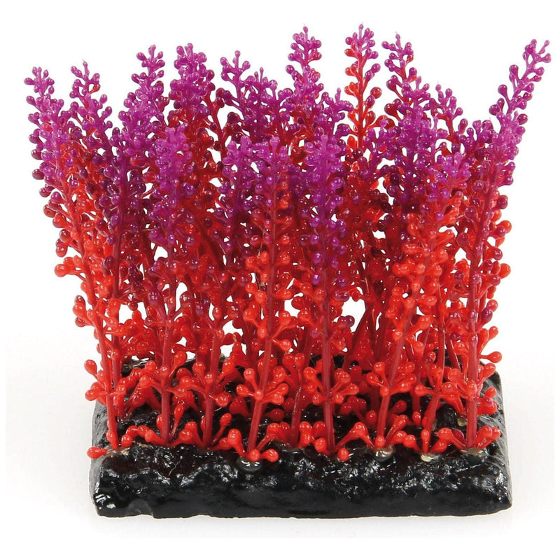 Fantasy Plant PP violett-rot