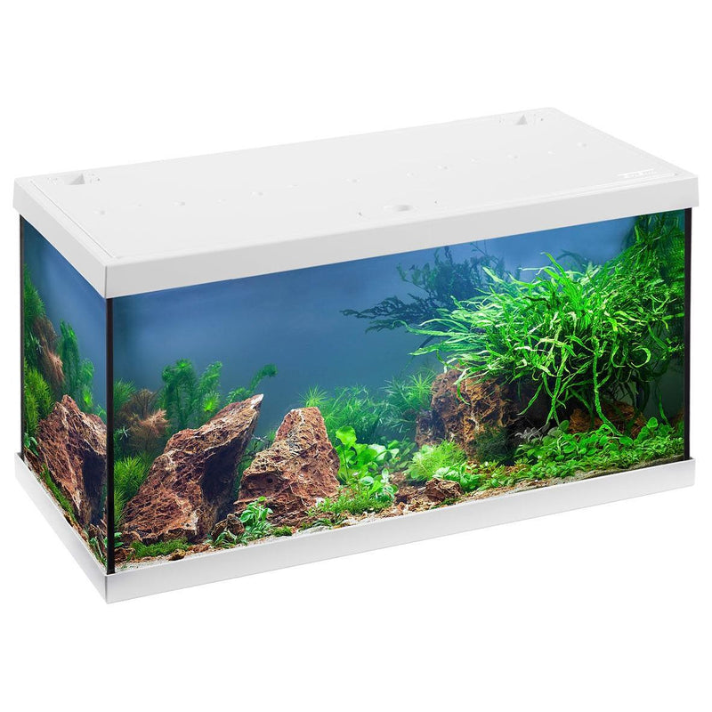 Aquarium Aquastar 54 LED