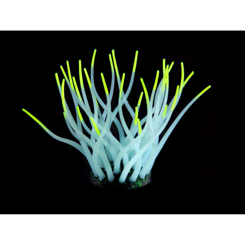 Kunststoffpflanzen FLUO Sea-Anemone, hellblau/gelb