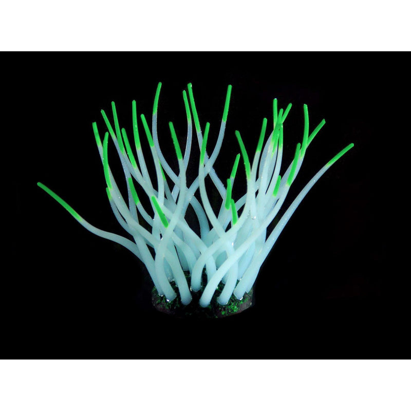 Kunststoffpflanzen FLUO Sea-Anemone, hellblau/grün