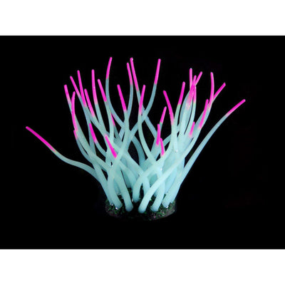 Kunststoffpflanzen FLUO Sea-Anemone, hellblau/pink
